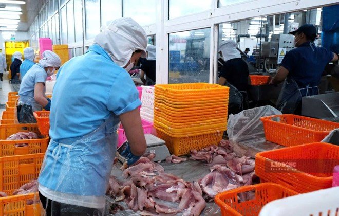 The Ministry of Home Affairs has just stated the reason for maintaining the proposal to increase the minimum wage by 7.8% from January 1, 2027. Pictured are workers working at a company in Tra Noc industrial park, Can Tho City. Photo: My Ly