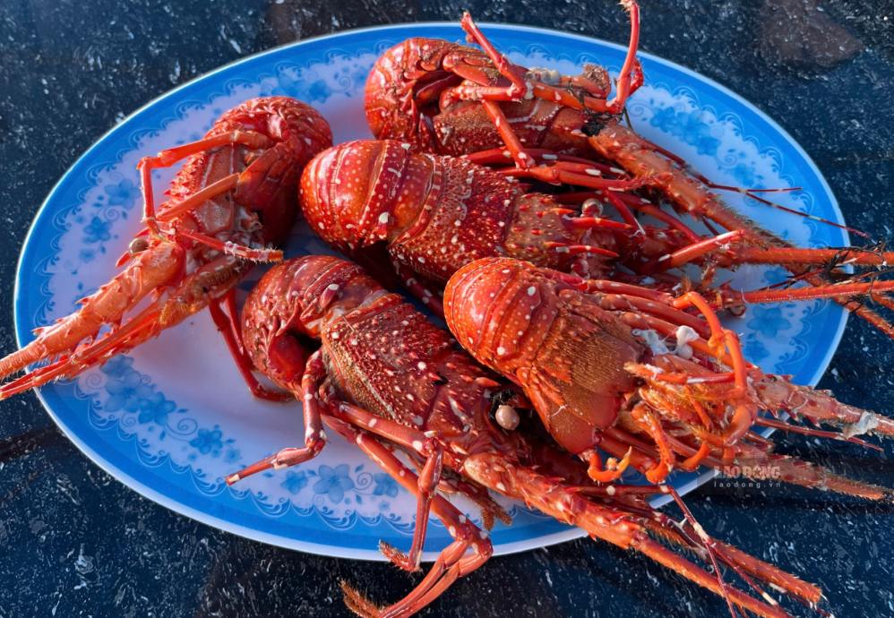 Simple secrets to steaming fresh and delicious lobster, keeping enough nutrients that housewives can refer to. Photo: Mai Chau