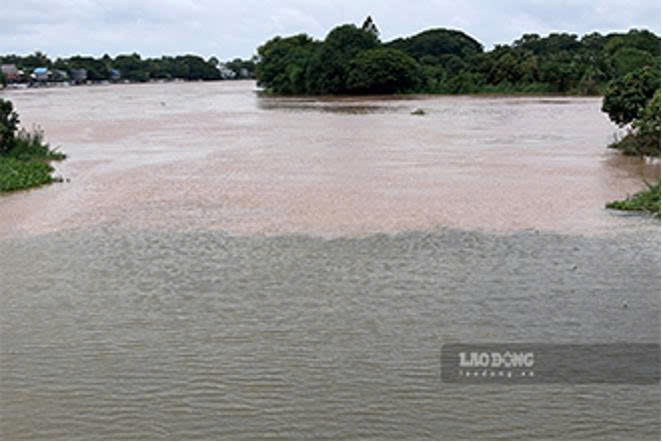 A section of the Binh Di River in An Giang is divided into two distinct water colors. Photo: Nhut Nam.