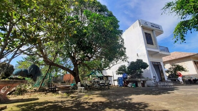 Thửa đất liên quan đến vụ việc có diện tích 714m² được cơ quan Thi hành án dân sự thị xã Đức Phổ, tỉnh Quảng Ngãi (tên gọi cũ) đấu giá chỉ 2,2 tỉ đồng, trong khi giá trị thực năm 2020 khoảng 7 tỉ đồng. Ảnh: Viên Nguyễn