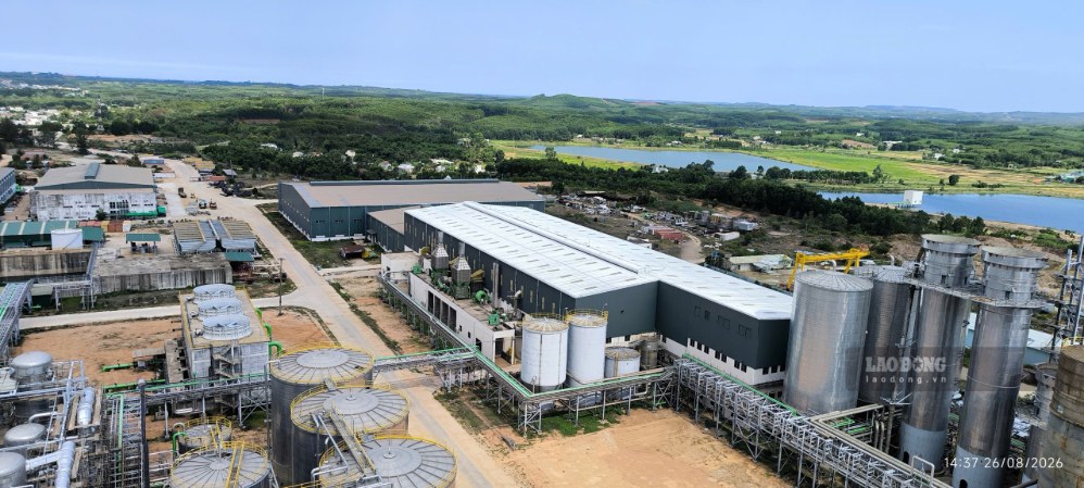 Dự án nhà máy bột giấy VNT 19 có công suất thiết kế giai đoạn 1 là 350.000 tấn bột giấy mỗi năm. Ảnh: Viên Nguyễn