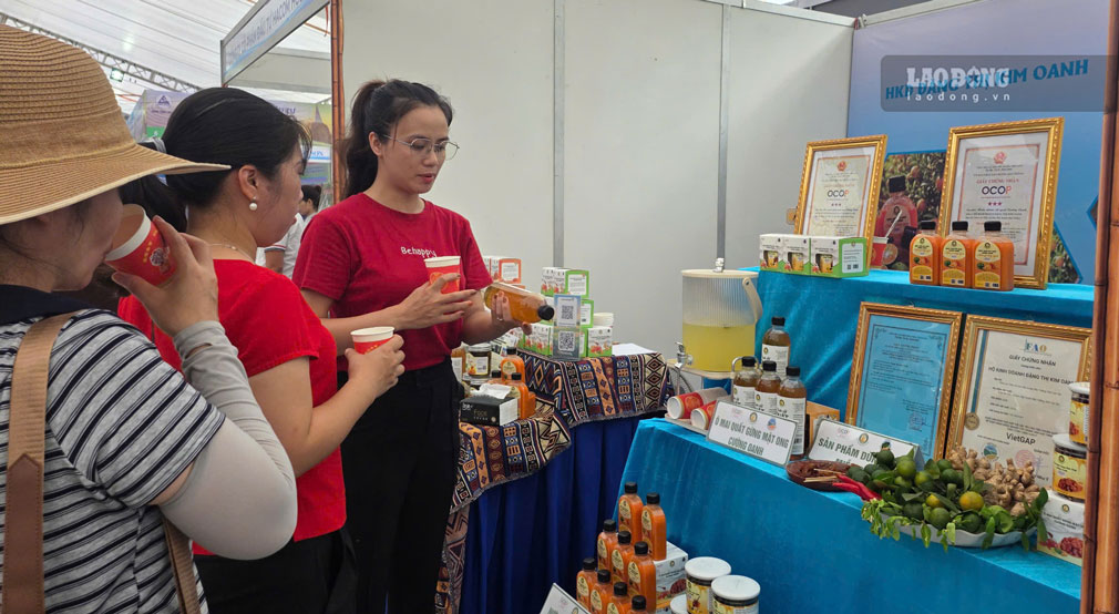 Display and introduction space of OCOP products at the Lao Cai Provincial Investment Promotion Conference in July 2026. Photo: An Vi