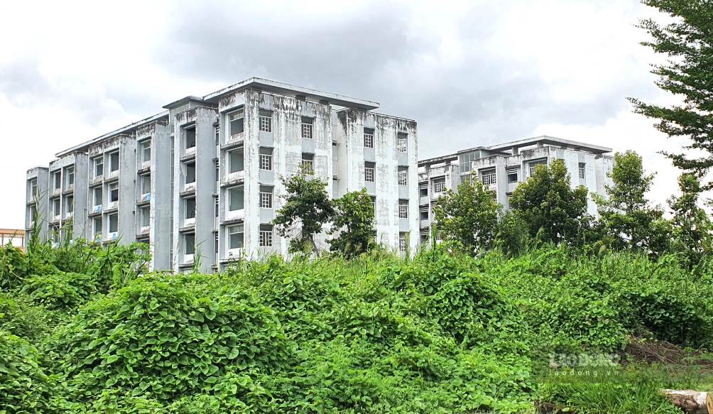 Hai toà nhà Nhà ở sinh viên tại Cà Mau bỏ trống nhiều năm. (ảnh chụp ngày 10.9.2026). Ảnh: Nhật Hồ.