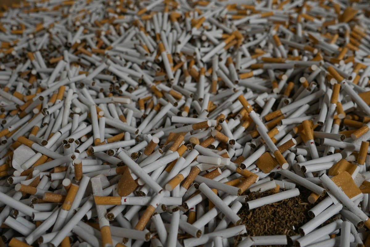 Smuggled cigarettes at an illegal cigarette factory in Ninove, Belgium on September 9, 2026. Photo: AFP
