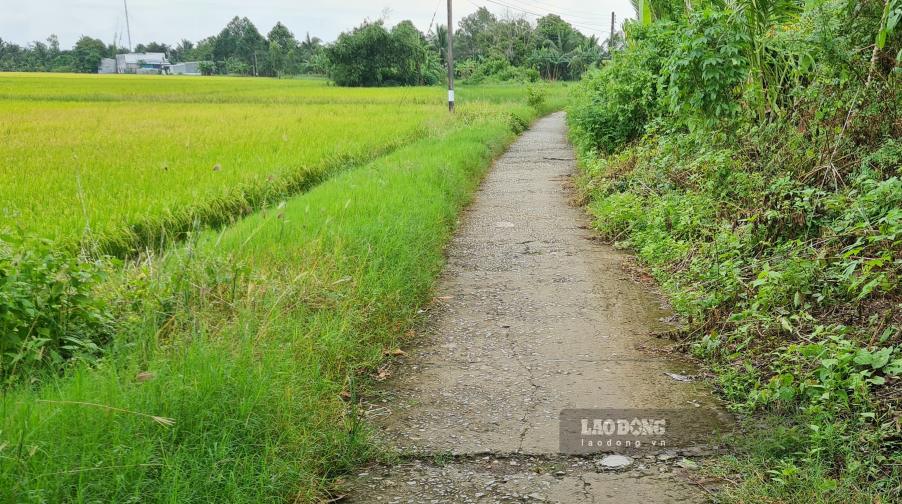 A continuous traffic route in Bac Lieu ward, Ca Mau province (photo taken on September 9, 2026). Photo: Nhat Ho.
