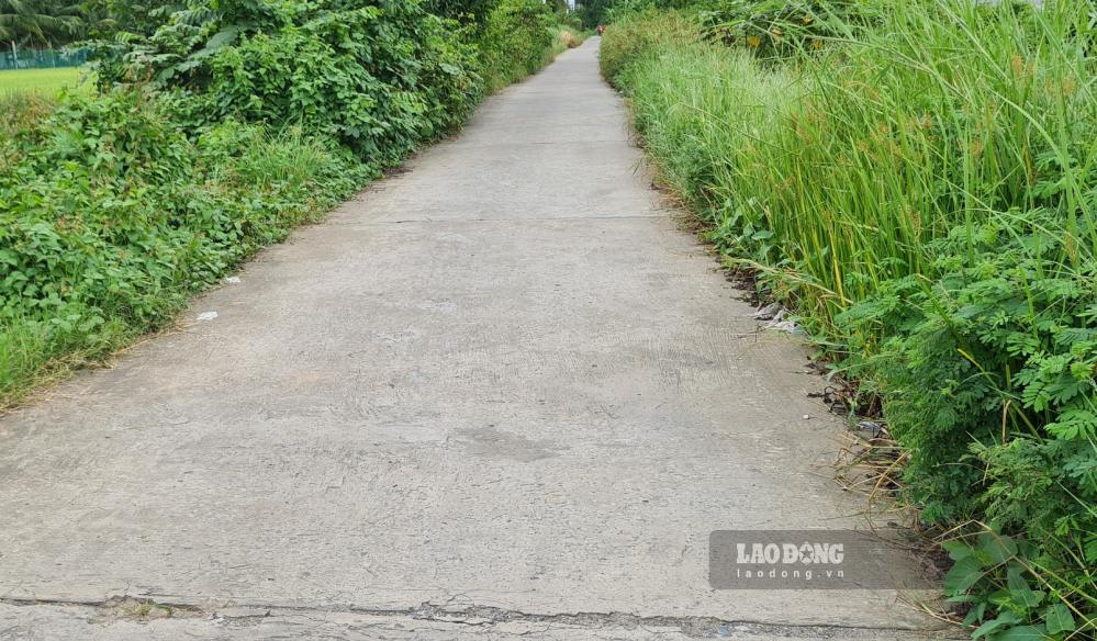 Đường giao thông liên khóm tại phường Bạc Liêu, tỉnh Cà Mau (ảnh chụp ngày 10.9.2026). Ảnh: Nhật Hồ.