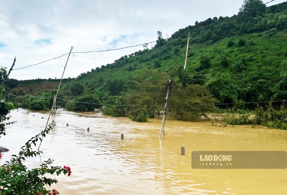 Nước sống, suối tại xã Đam Rông 2 đang dâng cao nguy cơ tiếp tục gây ngập trong đêm 10.9. Ảnh chụp vào chiều 10.9 (Ảnh: Nhi Nhi) 