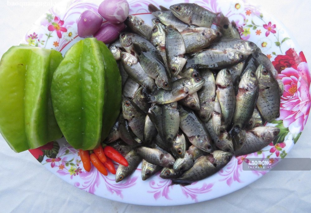 In Quang Ngai, field gourami is often cooked by people with sour star fruit. Photo: Thanh Ky