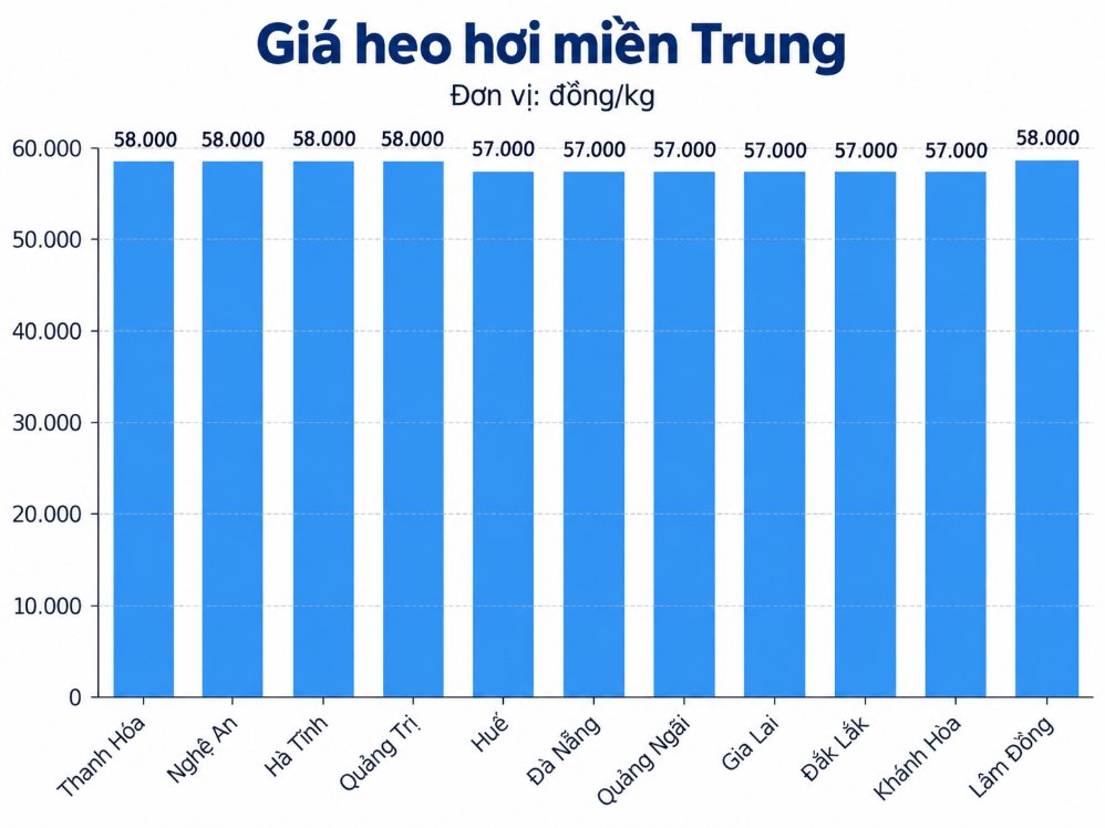 Giá heo hơi hôm nay tại khu vực miền Trung. Đồ họa: AI