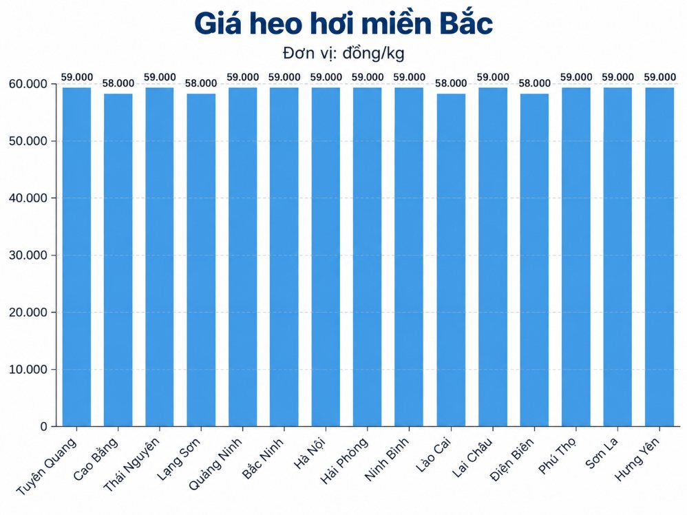 Giá heo hơi hôm nay tại khu vực miền Bắc. Đồ họa: AI
