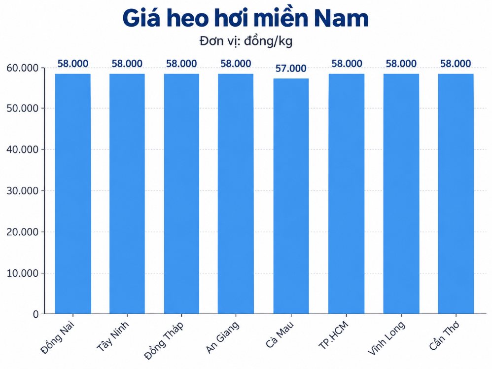 Giá heo hơi hôm nay tại khu vực miền Nam. Đồ họa: AI