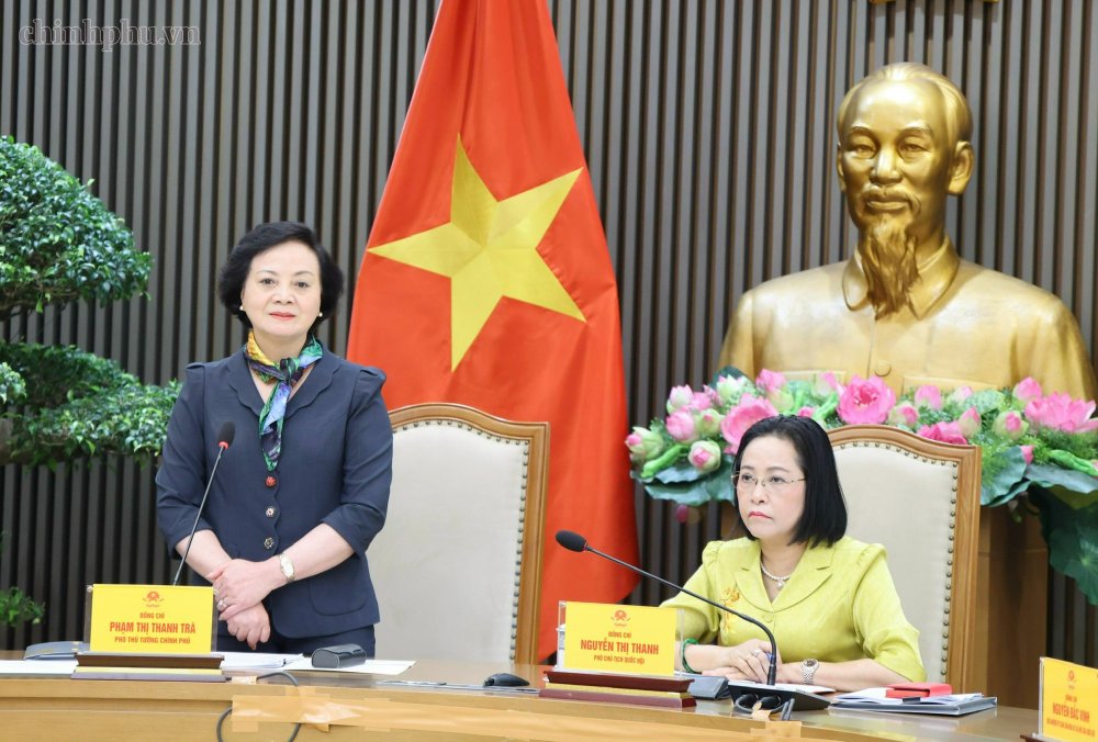 Secretary of the Party Central Committee, Deputy Prime Minister Pham Thi Thanh Tra emphasized that transparency in prices and medical equipment must be linked to traceability requirements. Photo: chinhphu. vn/Thu Giang