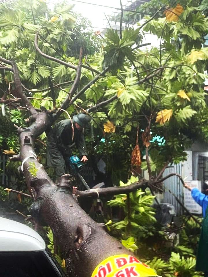 Lực lượng chức năng cắt tỉa, thu dọn cây xanh ngã đổ trên đường Hàn Thuyên, phường Hòa Cường, Đà Nẵng sau mưa lớn trưa 12.9. Ảnh: BCH Quân sự phường Hòa Cường