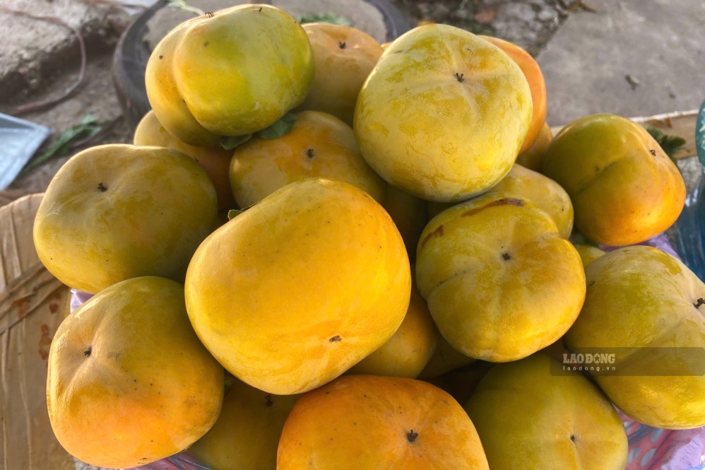 Người dân phường Thảo Nguyên bán hồng giòn cho khách du lịch. Ảnh: Trường Sơn chụp ngày 8.9.2026