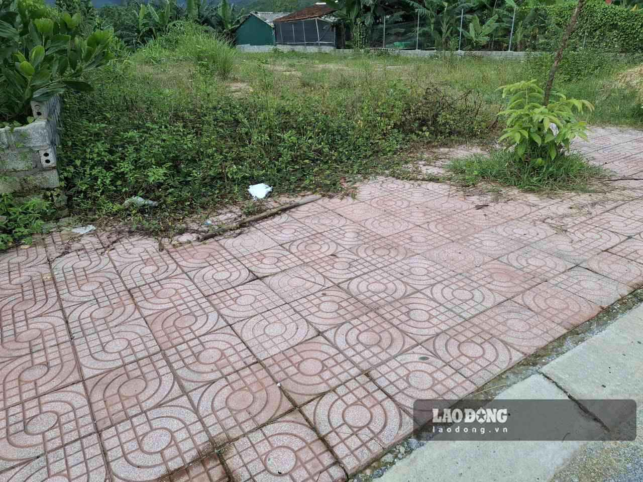House prices are in an upward trend, land plots in many areas are decreasing sharply. Photo: Binh Nguyen (taken in September 2026).