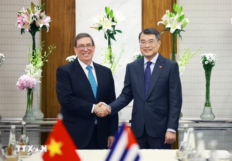 Politburo member, Prime Minister Le Minh Hung receives Cuban Foreign Minister Bruno Rodriguez Parrilla. Photo: Duong Giang/VNA