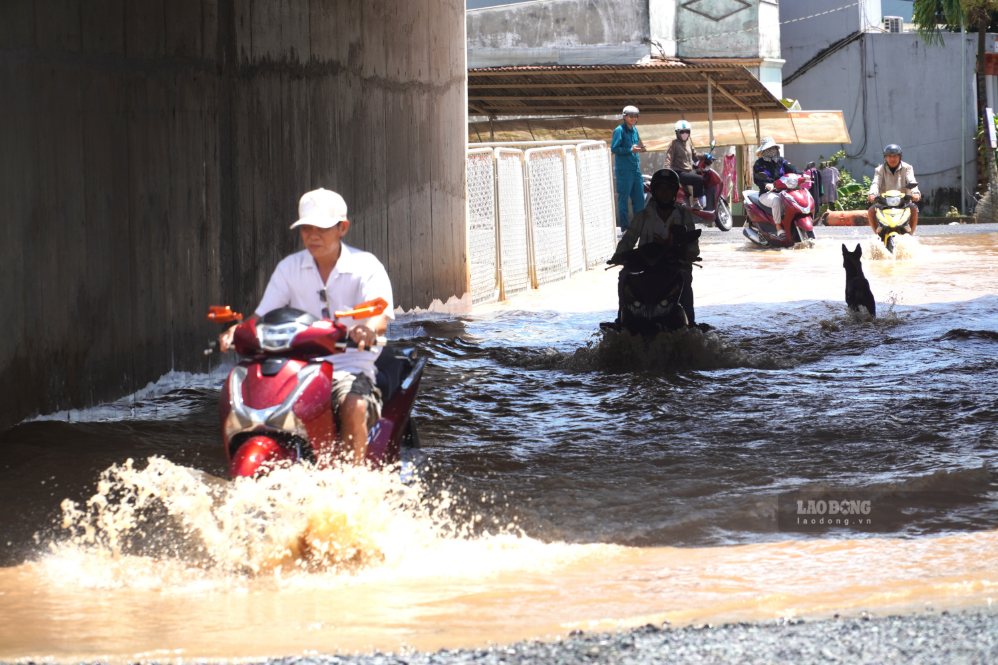 Inondation dans le tunnel souterrain traversant l'autoroute Bien Hoa - Vung Tau, quartier de Phuoc Tan, ville de Dong Nai le 12. 9. Photo: HAC