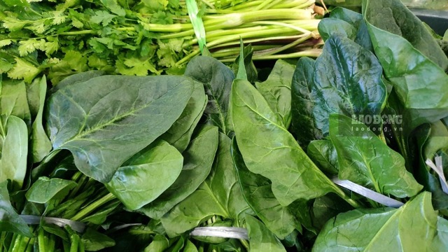 Building a diet with green vegetables helps support the liver well. Photo: Huong Son