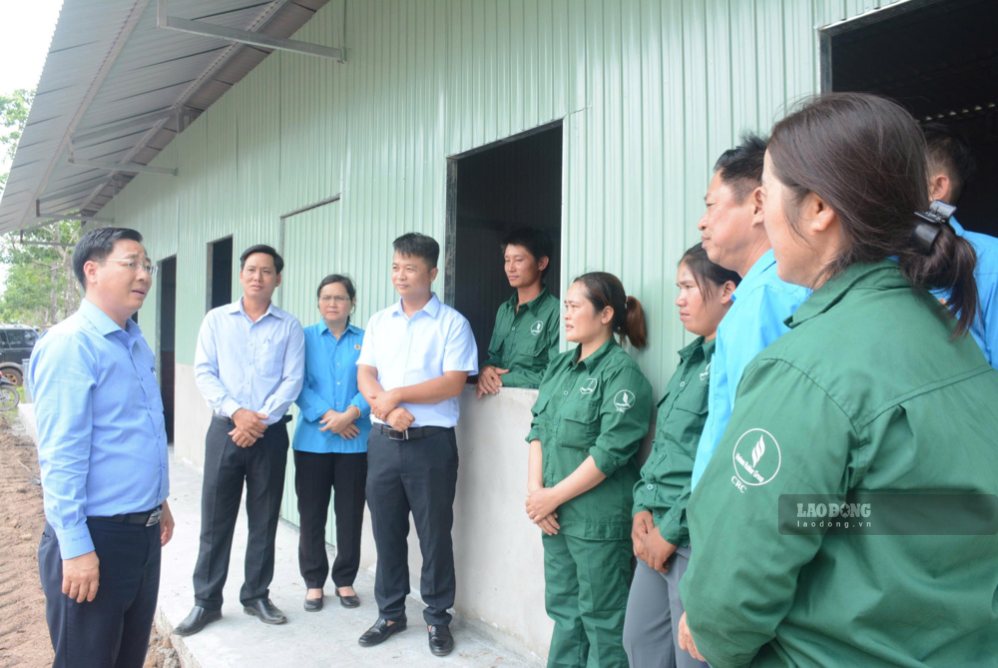 Leaders of Chu Se Rubber Company visit and encourage workers at the farm. Photo: Van Vinh