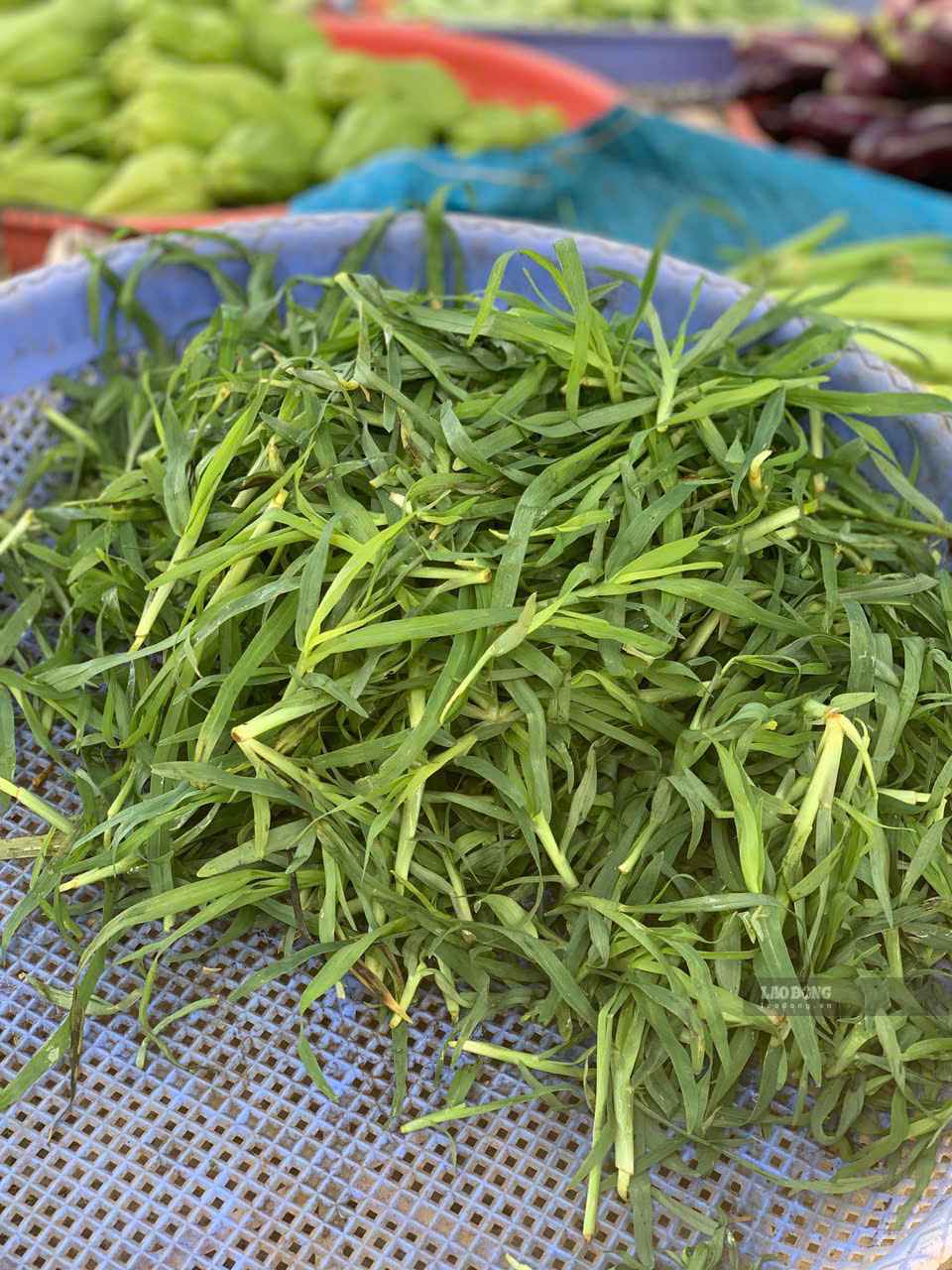 Cỏ mần trầu được bày bán tại chợ quê ở Sơn La. Ảnh: Khánh Linh