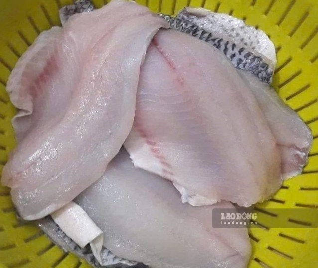 Field gourami is one of the river fish that helps support lower uric acid that gout patients should eat. Photo: Quang Minh.