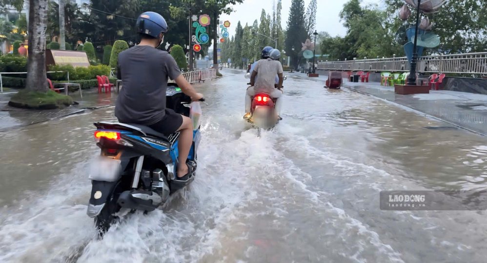 Nhiều tuyến đường tại phường Long Châu ngập nước khi triều cường lên cao. Ảnh chụp ngày 13.9.2026 tại phường Long Châu. Ảnh: Hoàng Lộc