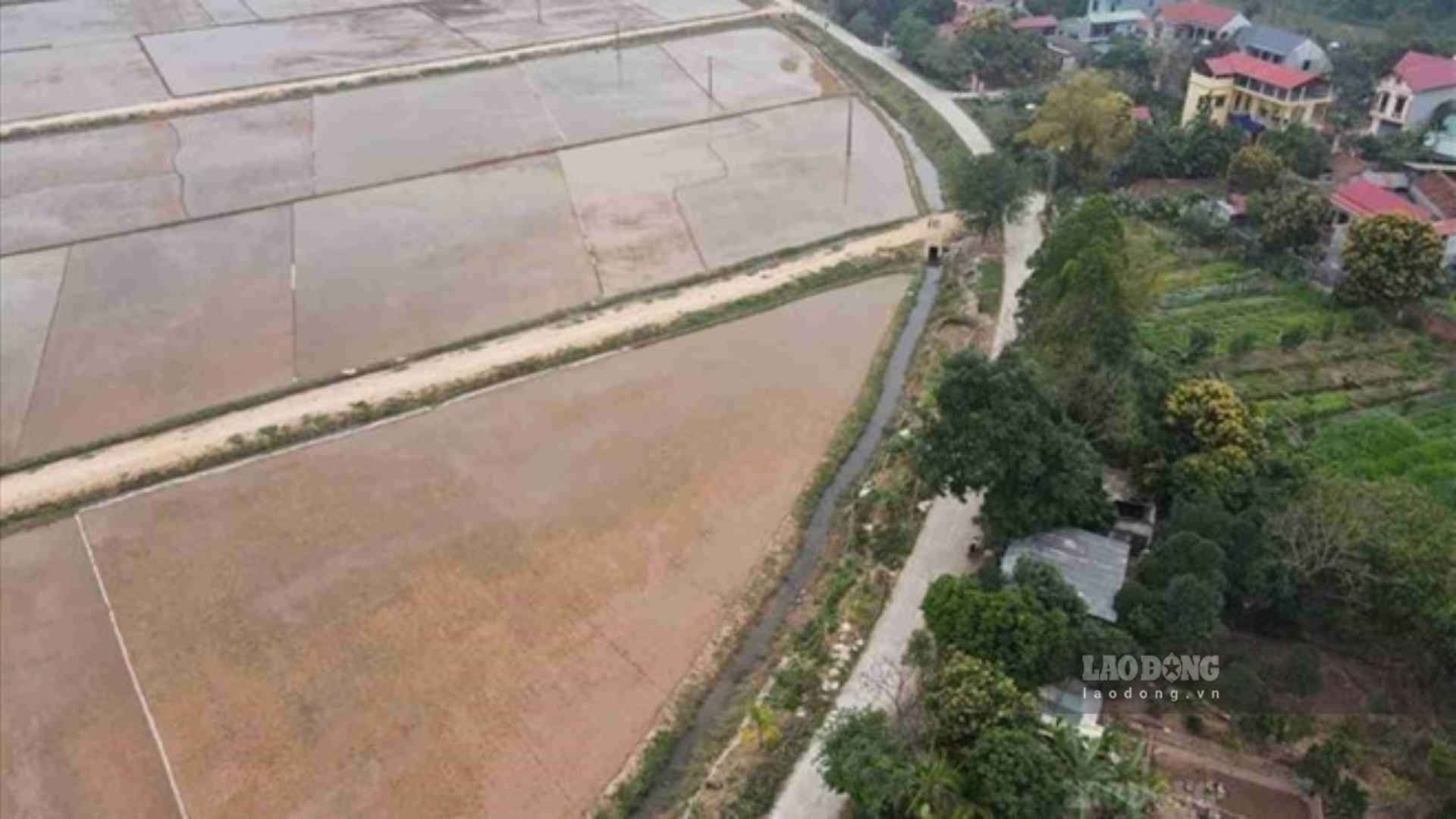 정원 토지를 주거용 토지로 전환할 때의 토지 사용료 정책에 주목할 만한 변화가 있습니다. 사진: 판안.
