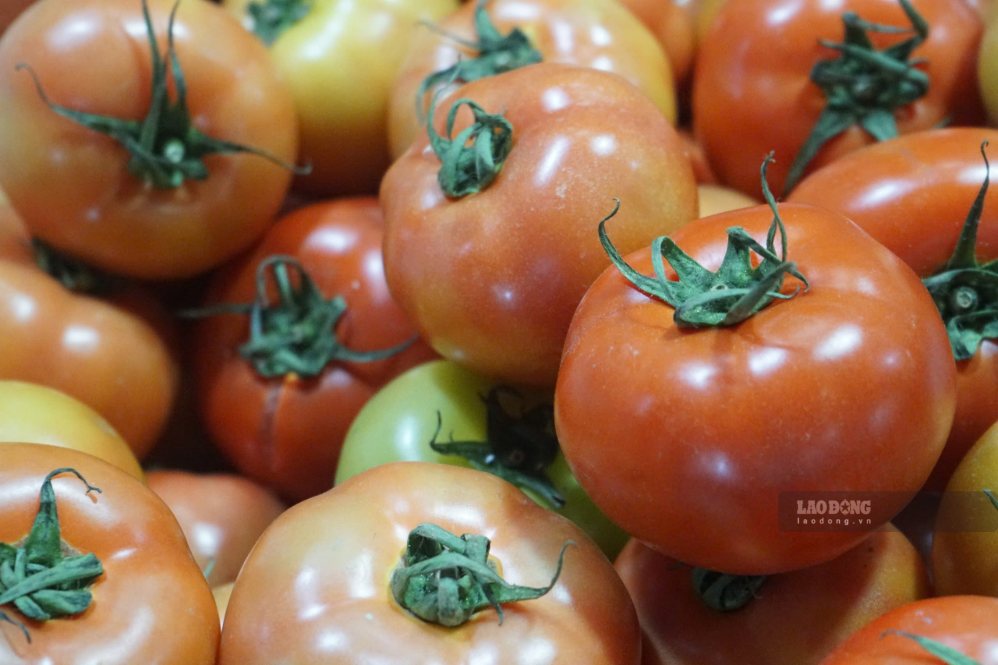 Tomatoes are a noteworthy food in the diet of people with high uric acid. Photo: Thanh Thanh