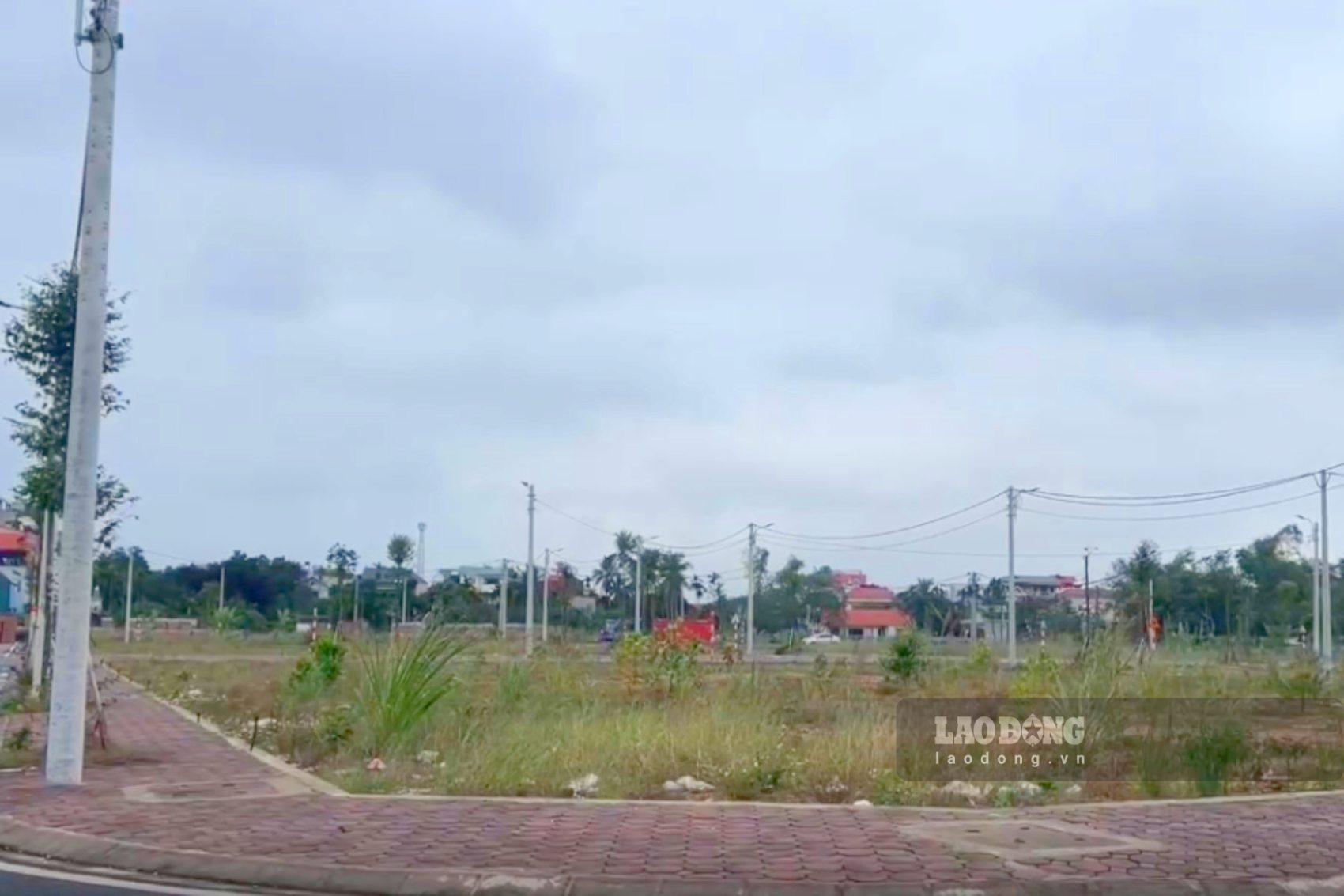 Answering the issue of red books for land allocated by the ward for temporary residence since 1990. Photo: Nhu Ha