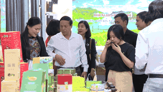Thai Nguyen connects green tourism with the Central region market. Photo: Thanh Trung