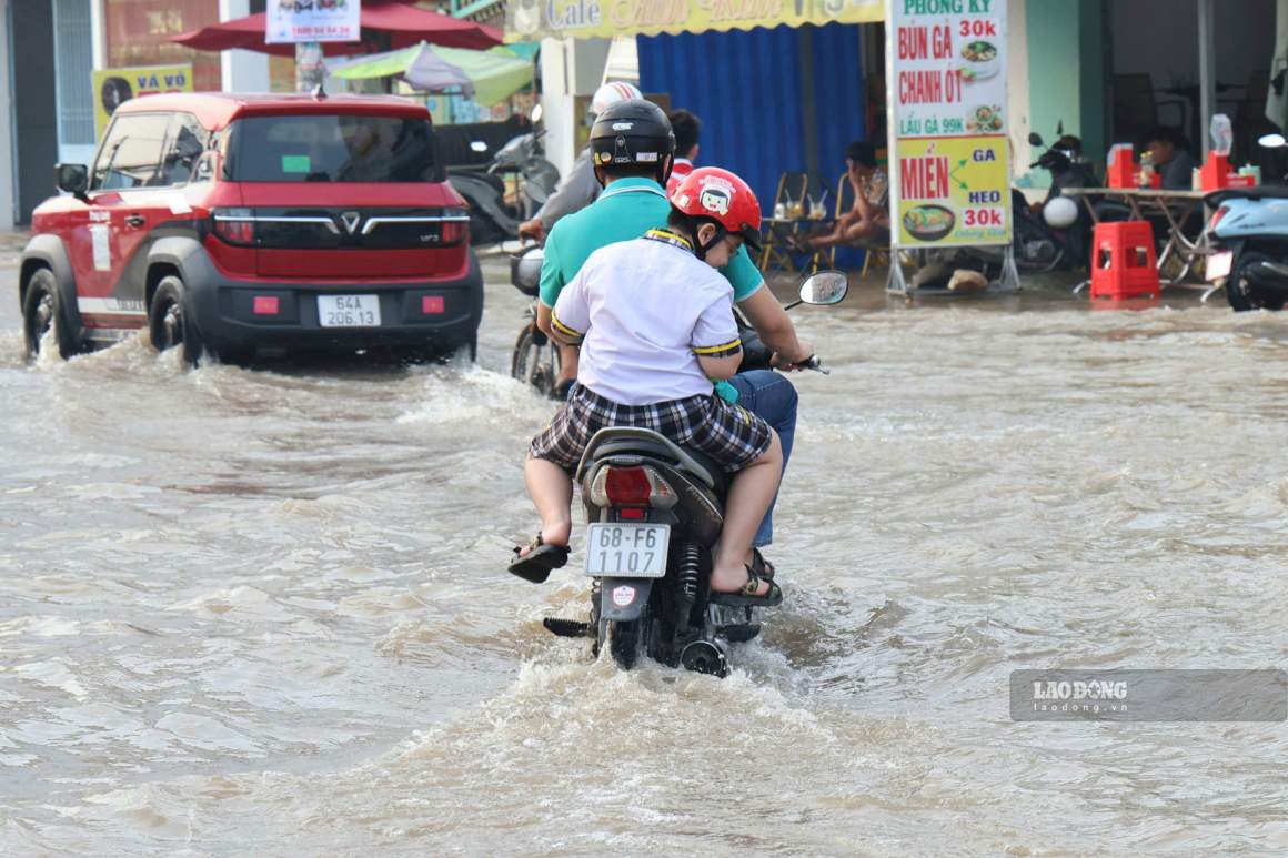 Ảnh: Tạ Quang (chụp ngày 14.9.2026)
