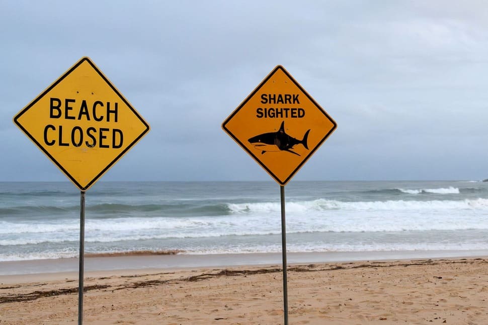 Signs announcing temporary beach closure due to shark discovery in Sydney, Australia, January 19, 2026. Photo: AFP