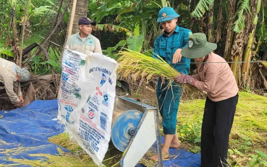 Officers and soldiers of Phuoc Nang Commune Military Command support people in harvesting and removing summer rice. Photo: Le Quang Hieu (Phuoc Nang Commune Military Command)