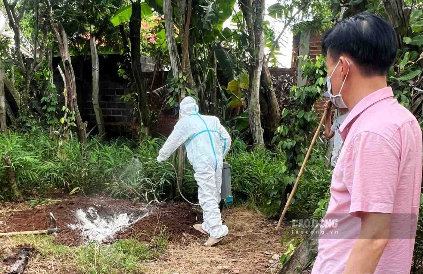After destroying the rabid dog that bit people, functional forces proceeded to spray disinfectant according to regulations. Photo taken on September 13. Photo: Nam Nguyen