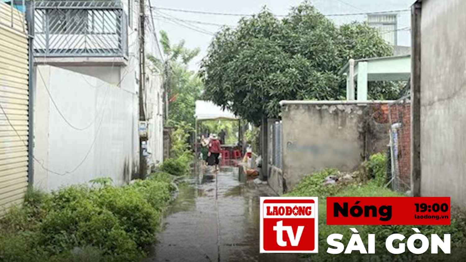 Saigon Hot News: Suspect in murder case causing 3 casualties in Ho Chi Minh City has been arrested