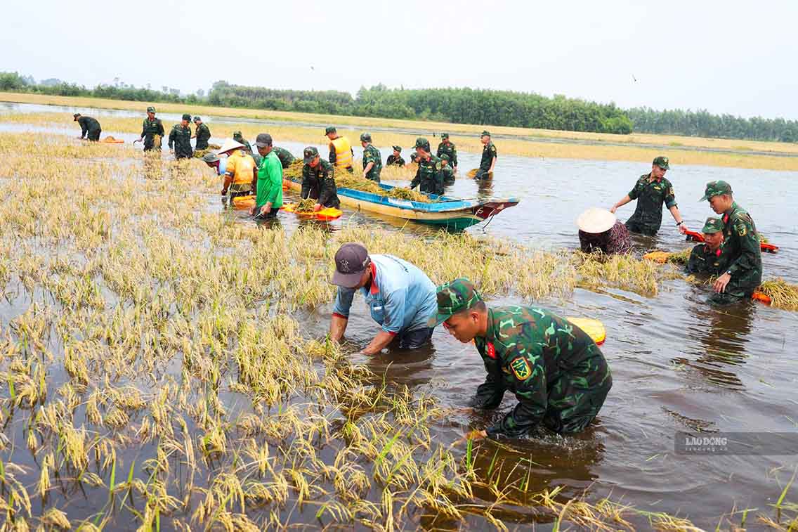 Theo ông Lê Ngọc Tường - Phó Chủ tịch UBND xã Thạnh Phước, Lực lượng tại chỗ cùng 200 chiến sĩ bộ đội, công an hỗ trợ người dân ứng phó với tình trạng ngập úng trên địa bàn ngày 14.9. Ảnh: Huỳnh Du