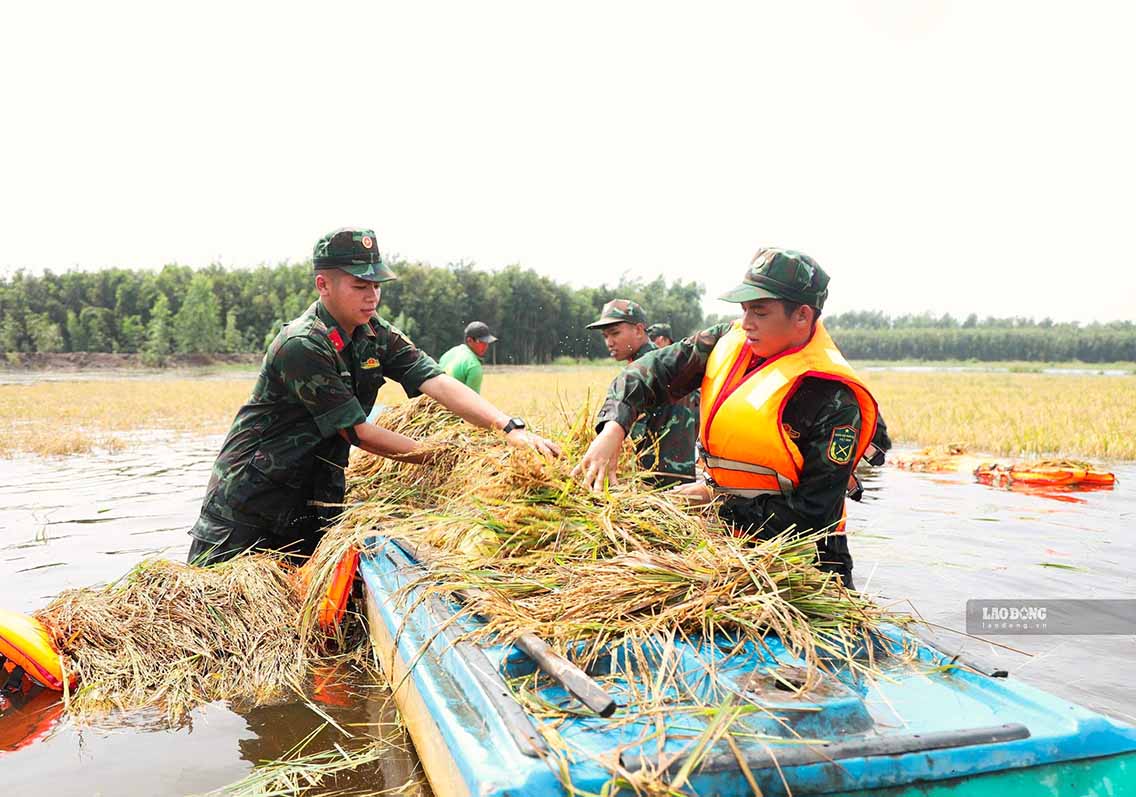 120 cán bộ, chiến sĩ Tiểu đoàn 1, Trung đoàn 738 được điều động đến hỗ trợ người dân tại hai địa bàn ngày 14.9. Ảnh: Huỳnh Du