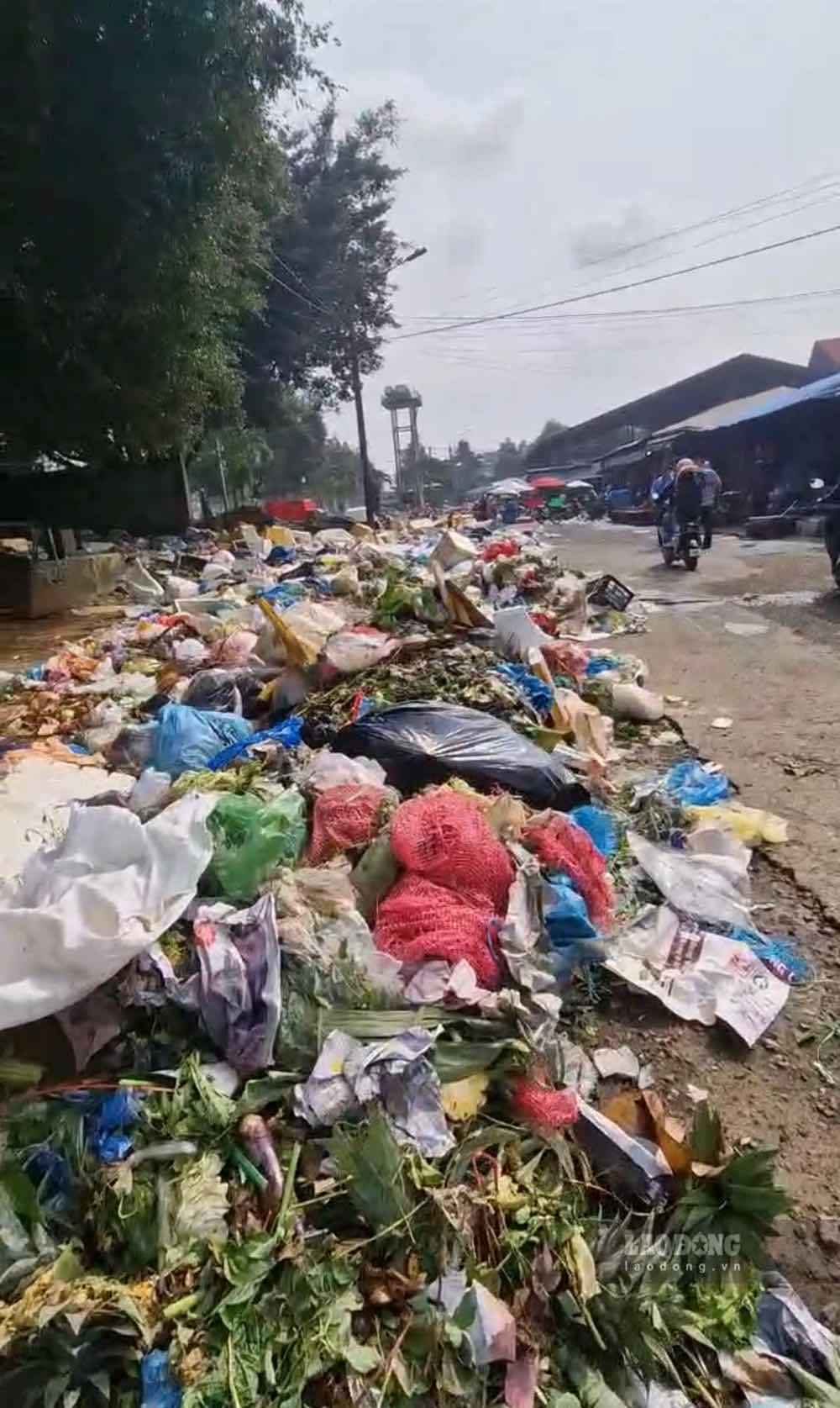 Rác thải bủa vây tại phường 1 Bảo Lộc, Lâm Đồng sau 4 ngày không được thu gom, ảnh ngày 14.9. Ảnh: Phúc Khánh