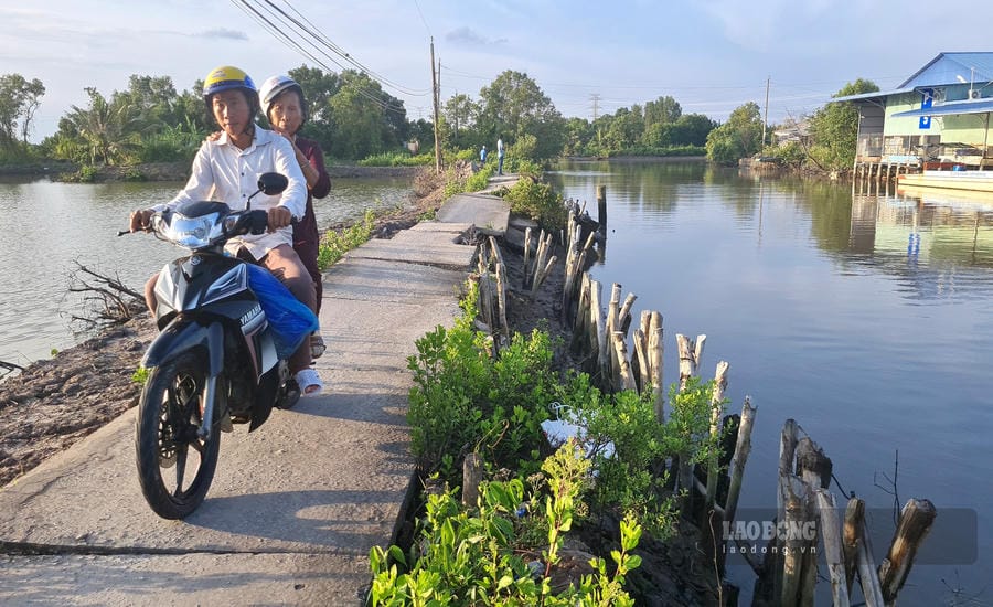 Una carretera a orillas del río en la comuna de Tran Phan, Ca Mau (foto tomada en junio de 2026). Foto: Nhat Ho