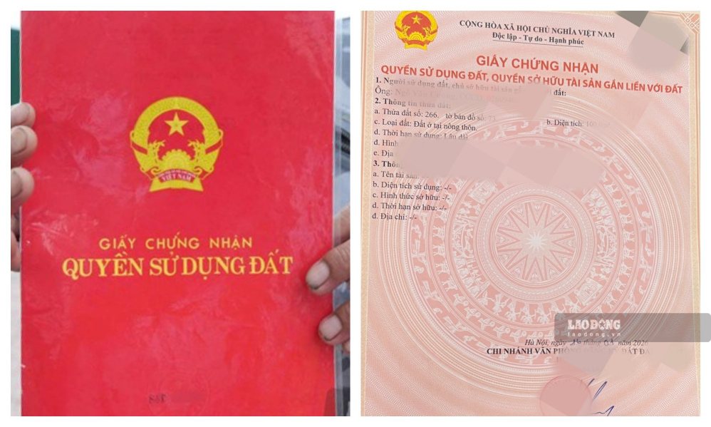 권한 없이 할당된 토지에 대한 토지 사용권 증명서 발급은 독자들이 관심을 갖는 문제입니다. 사진: 안 뚜언
