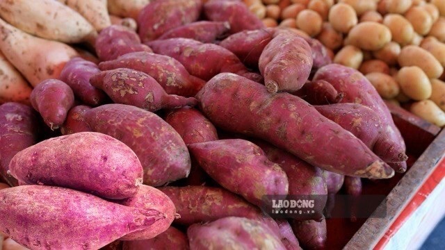 Sweet potatoes can be an option for breakfast, but should be combined with eggs, milk, vegetables or fruits to ensure balanced nutrition. Photo: Quang Minh