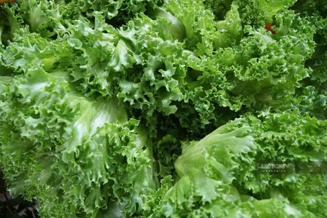 4 nhóm thực phẩm cần có trong bữa tối giúp giảm cân và no lâu