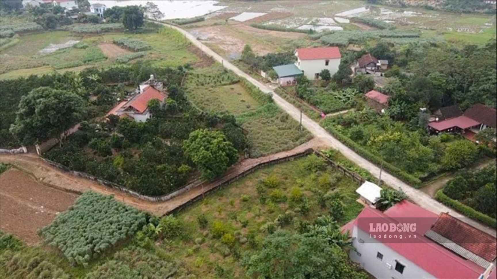 Agricultural land for building houses and then paying fines does not mean that the project can legally exist. Photo: Phan Anh