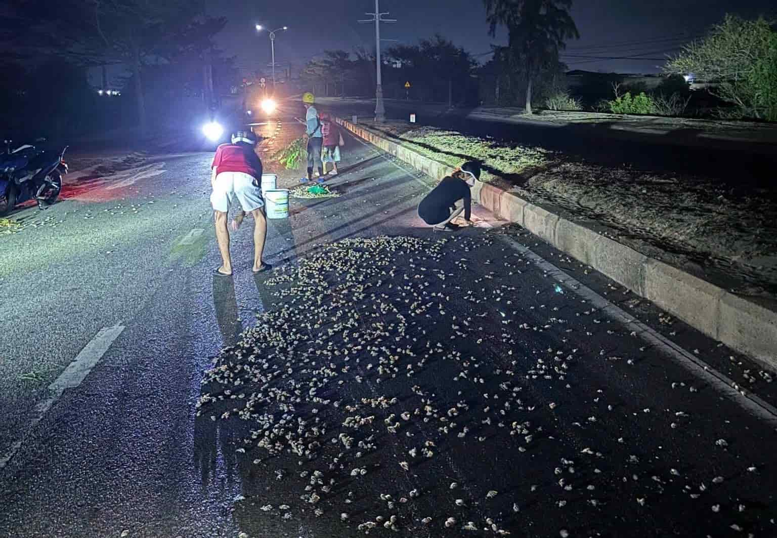 During the night, the police force and people walking on the road together picked up incense snails to help people who fell off their motorbikes. Photo: Phuoc Dinh Police (September 2026)