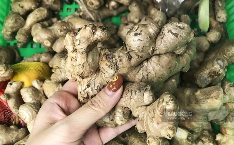 El té de jengibre después de la cena es utilizado por muchas personas como una bebida buena para los riñones. Foto: Thanh Thanh.