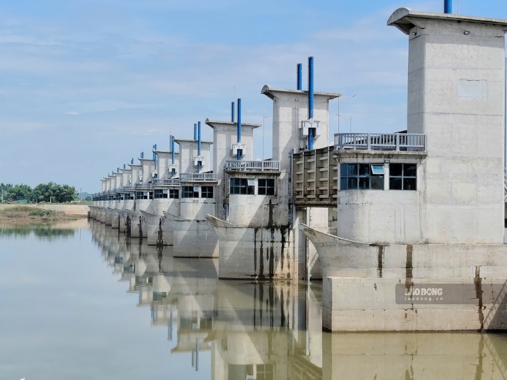 Sau khi đập dâng vận hành xả nước, mực nước sông rút nhanh khiến cá không kịp di chuyển đến các khu vực nước sâu, bị mắc cạn và chết. Ảnh: Viên Nguyễn