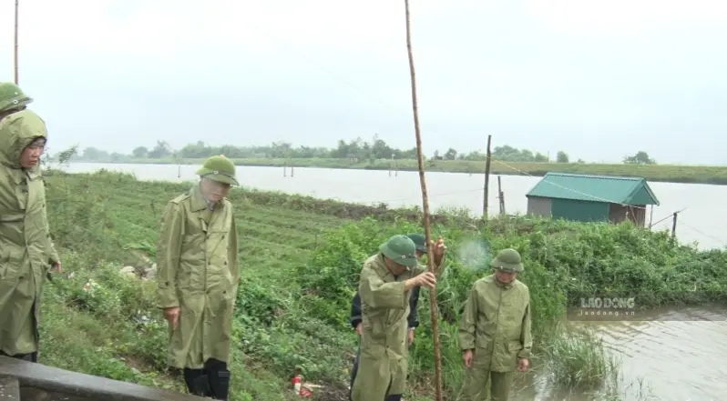 タインホア省の管轄当局は、堤防の保護を定期的に監視し、対応しています。写真:チャン・ラム