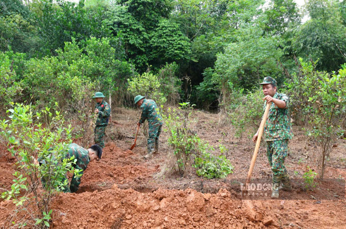 Các lực lượng triển khai tìm kiếm tại khu vực đồi Đá Vôi. Ảnh: Đinh Đại chụp chiều 15.9