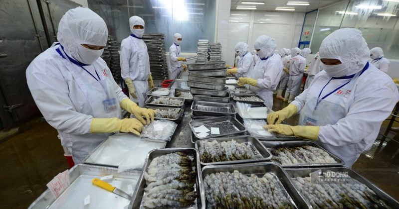 Agriculture, forestry, and fishery have a trade surplus of more than 14 billion USD in the first 8 months of 2026