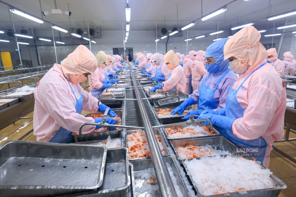 Exports of agricultural, forestry and fishery products grew positively in the first 8 months of 2026. Photo: Hai Nguyen taken in April 2025